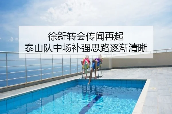 徐新转会传闻再起 泰山队中场补强思路逐渐清晰