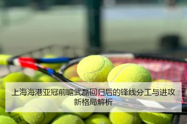 上海海港亚冠前瞻武磊回归后的锋线分工与进攻新格局解析